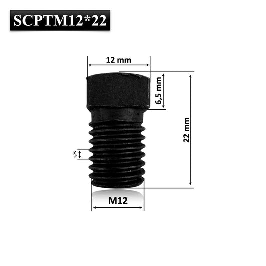Set x5 Surub cu cap patrat pentru Pana Abric M12 x 22 mm