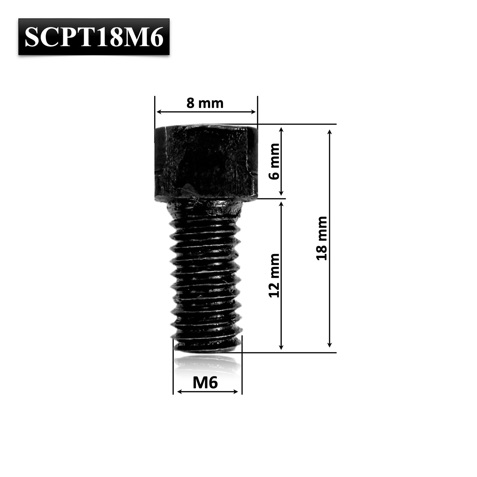Șurub M6 (18 mm) cu cap pătrat, ideal pentru abric – fixare fiabilă a penei. Perfect pentru întreținere sau înlocuire rapidă.